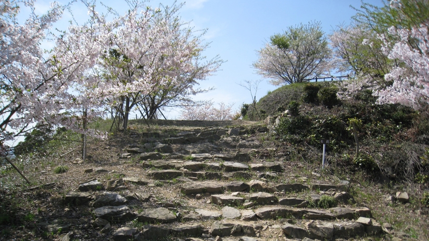 *【周辺】松山城跡