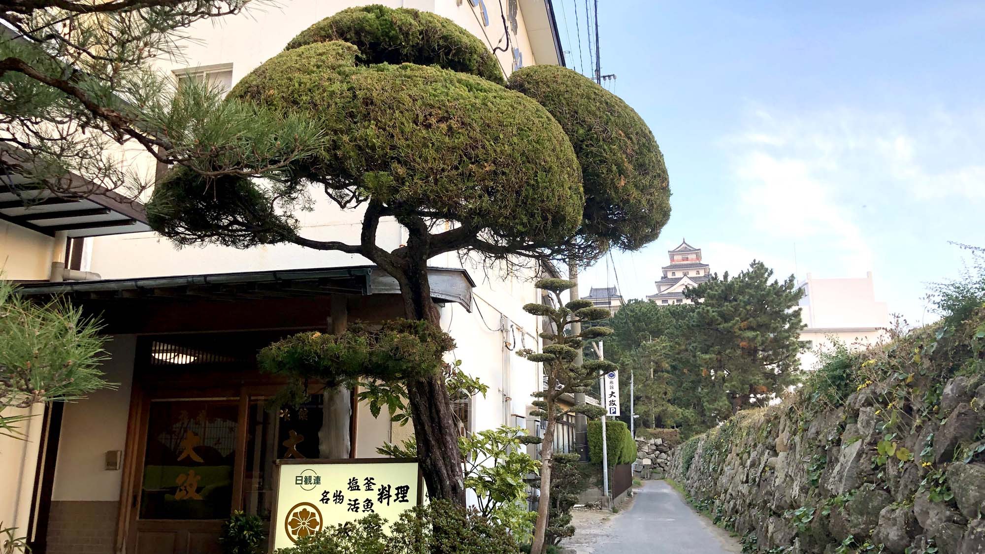 佐賀5大味覚！伊勢海老・活きイカ・佐賀牛・アワビ・鯛の塩釜（個室食）