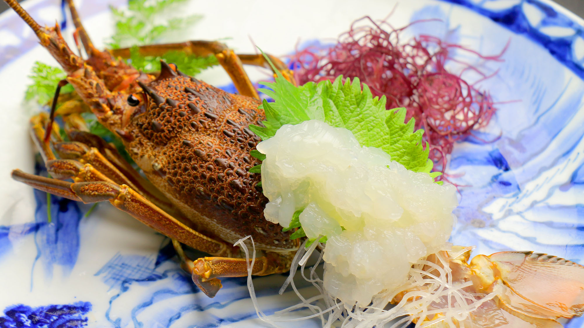 伊勢海老をお得に！活きイカと鯛の塩釜を堪能！（個室食）