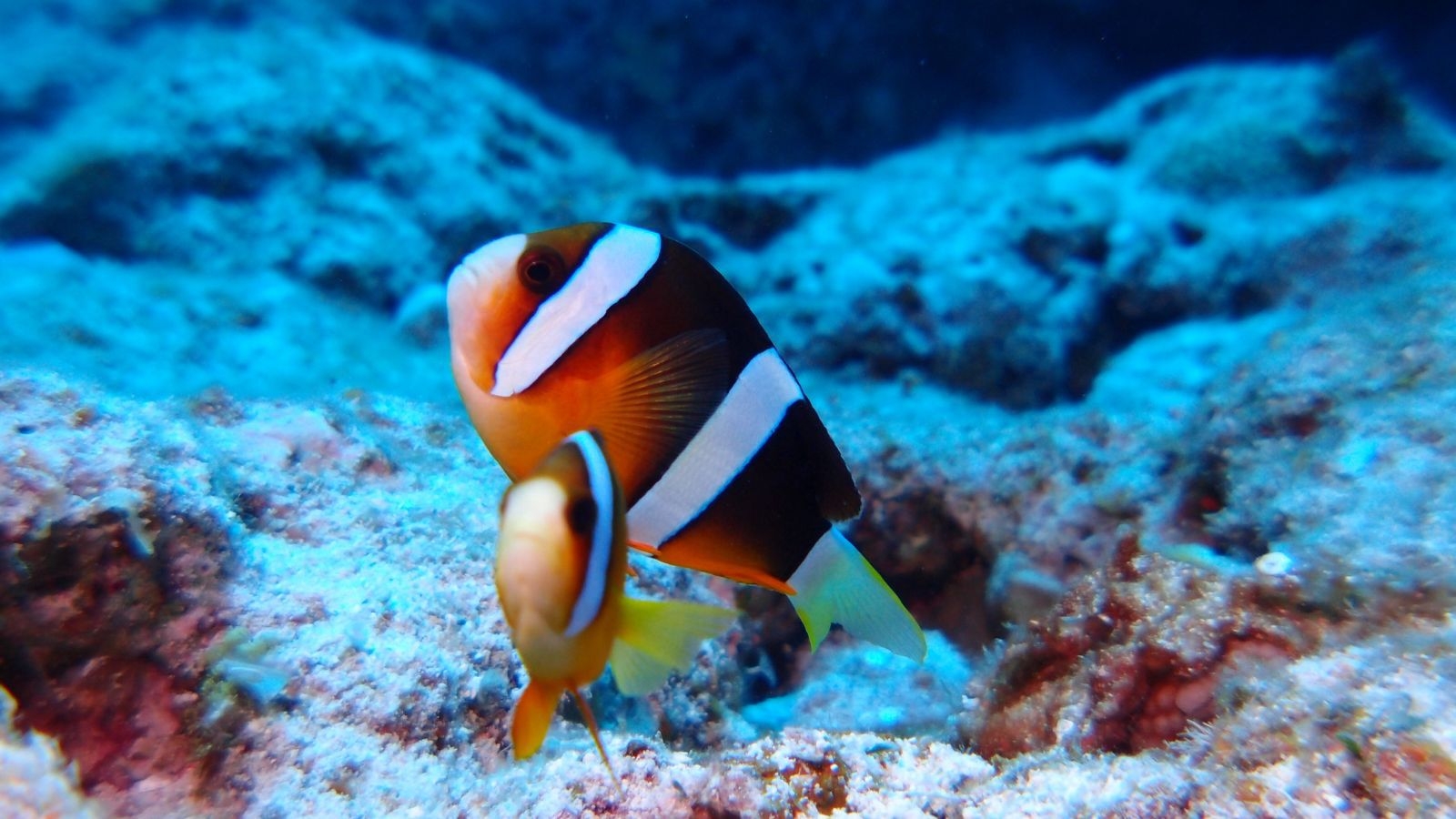 【素泊まり】海風が届く宿で過ごす。神話が数多く残る沖縄離島の伊良部島で過ごす〈レイトチェックアウト〉