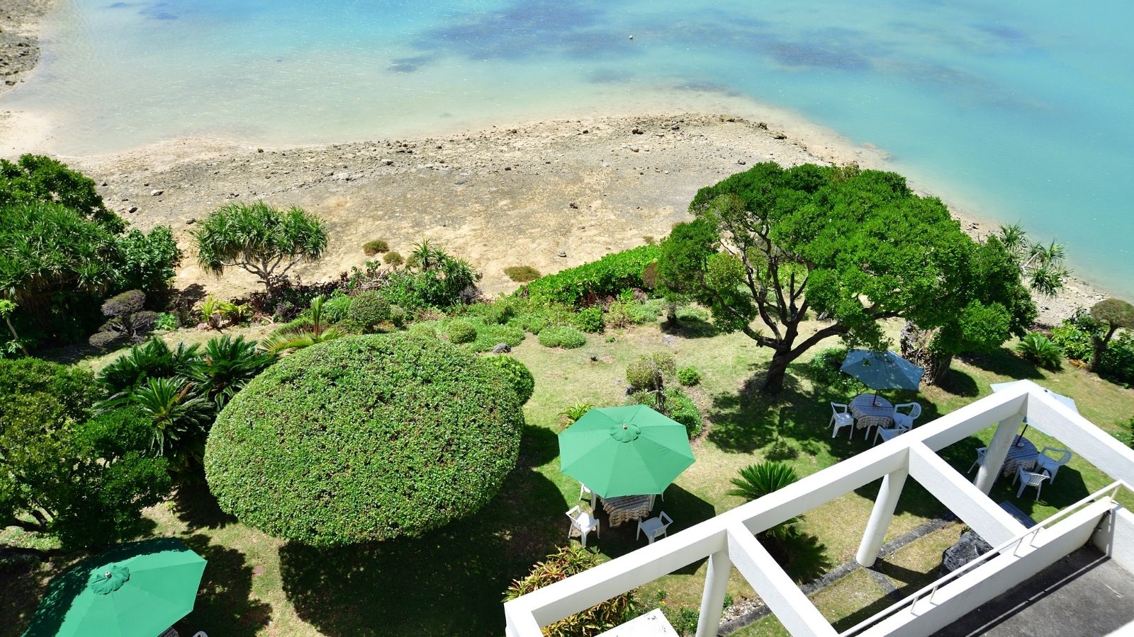 客室から見える景色