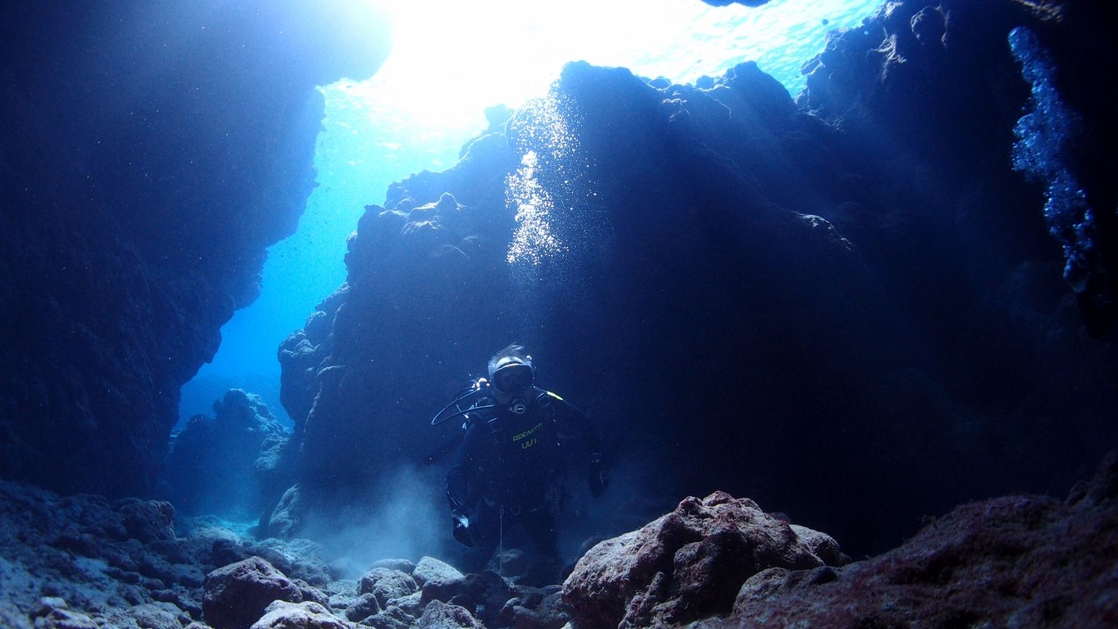 【体験ダイビング】光差し込む海中世界で非日常のひとときを