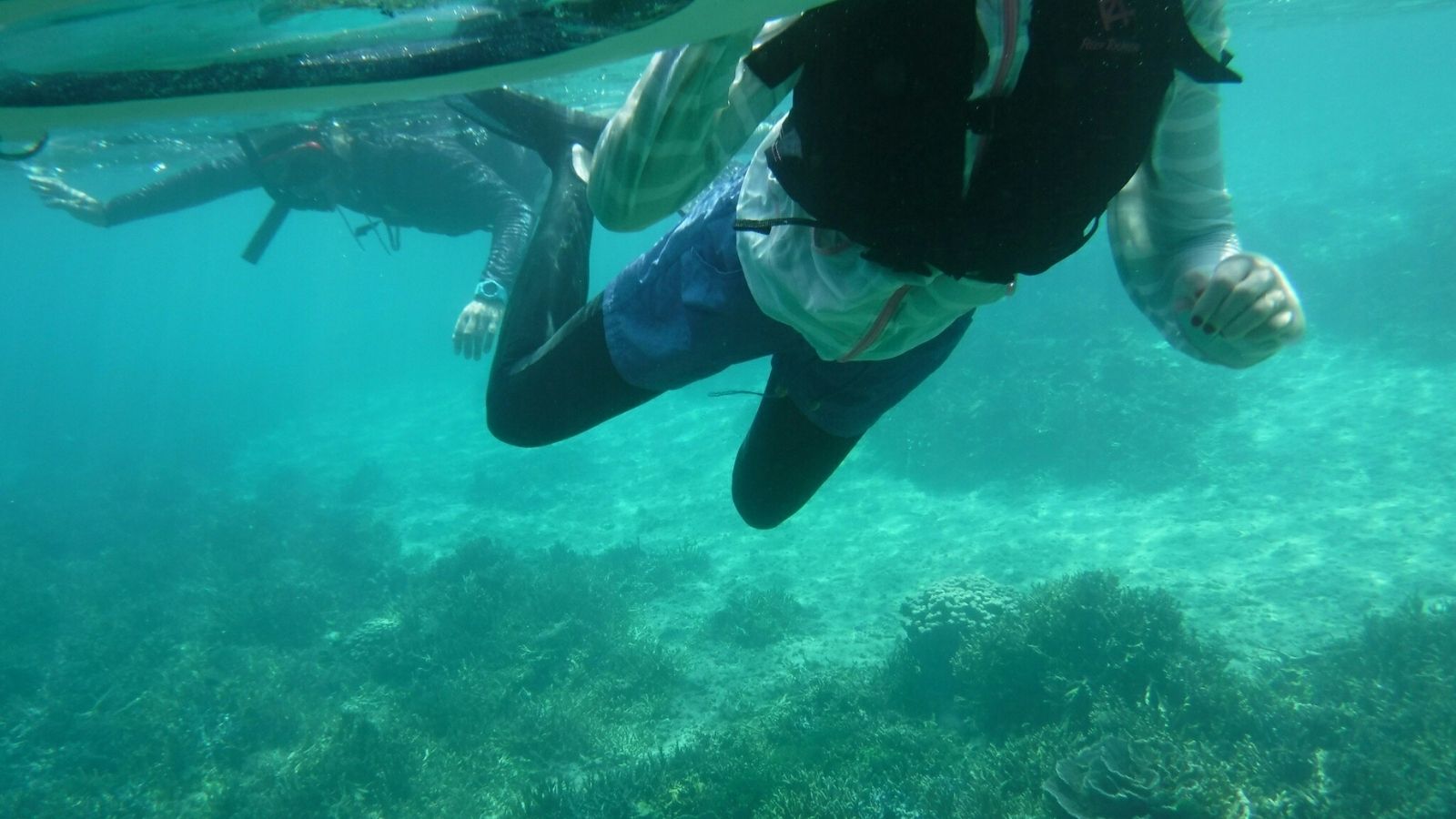 青の世界へ、シュノーケルで冒険。