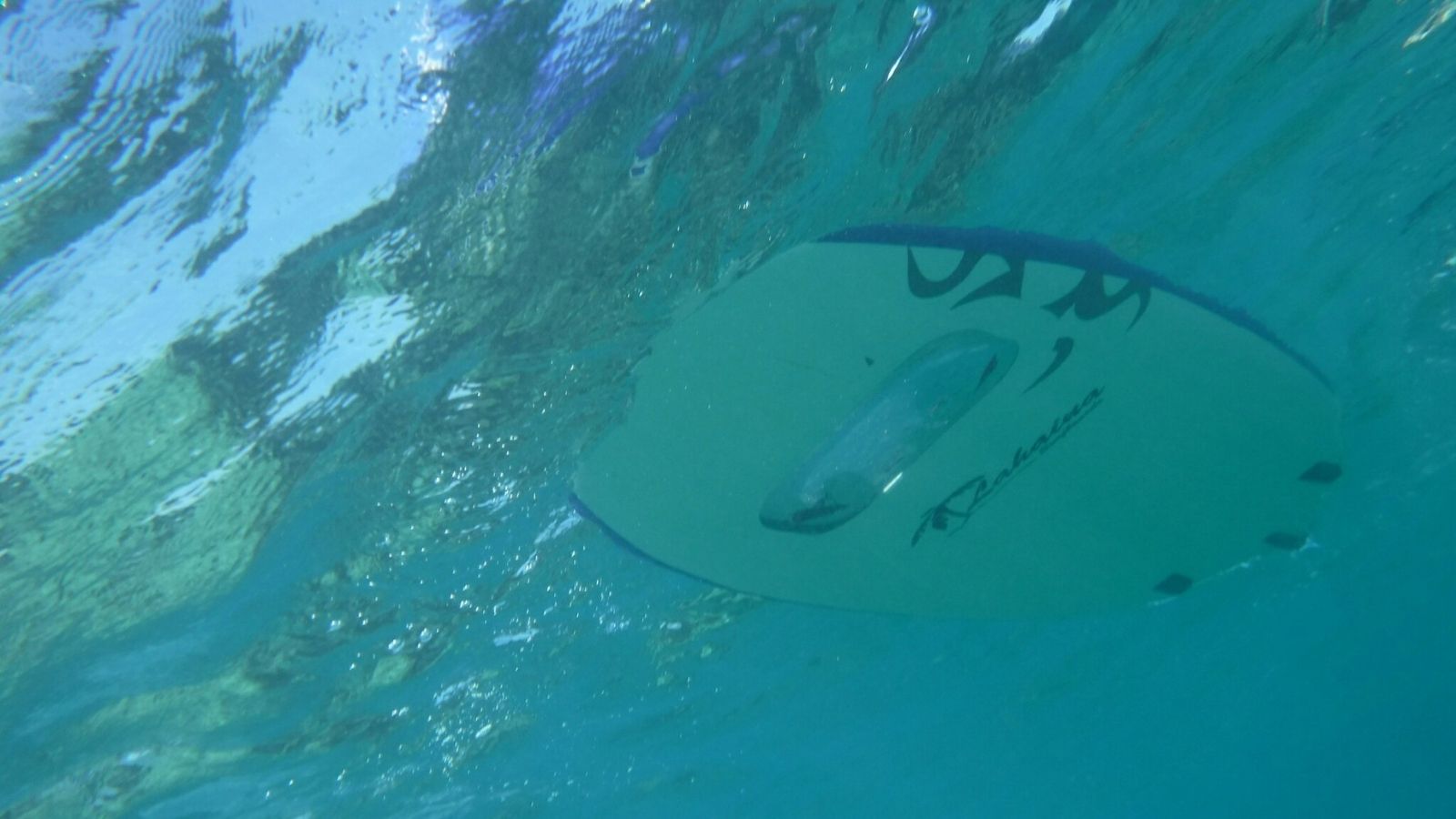 伊良部島の海で幻想のアンダーウォーター体験