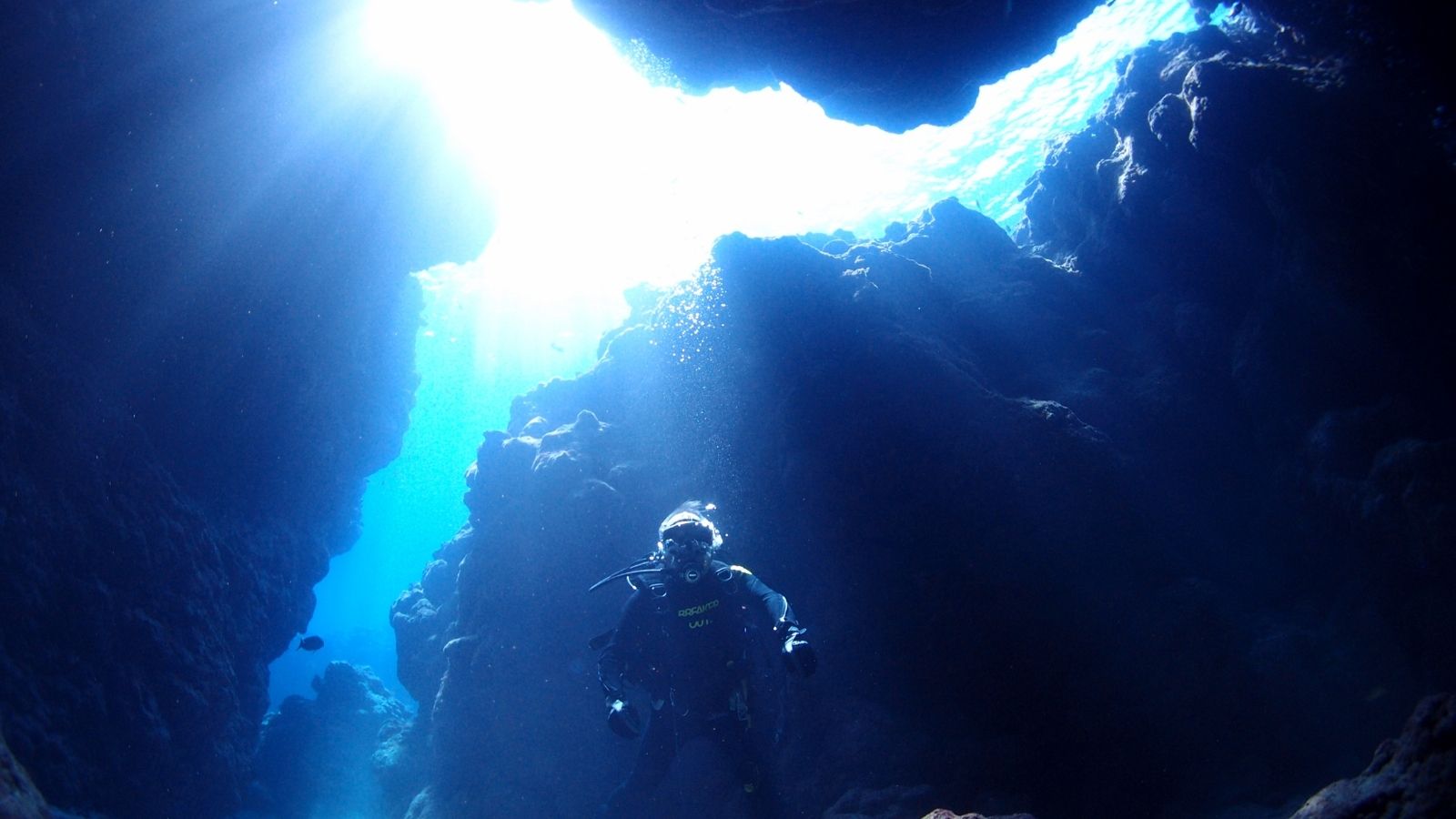 【体験ダイビング】光差し込む海中世界で非日常のひとときを