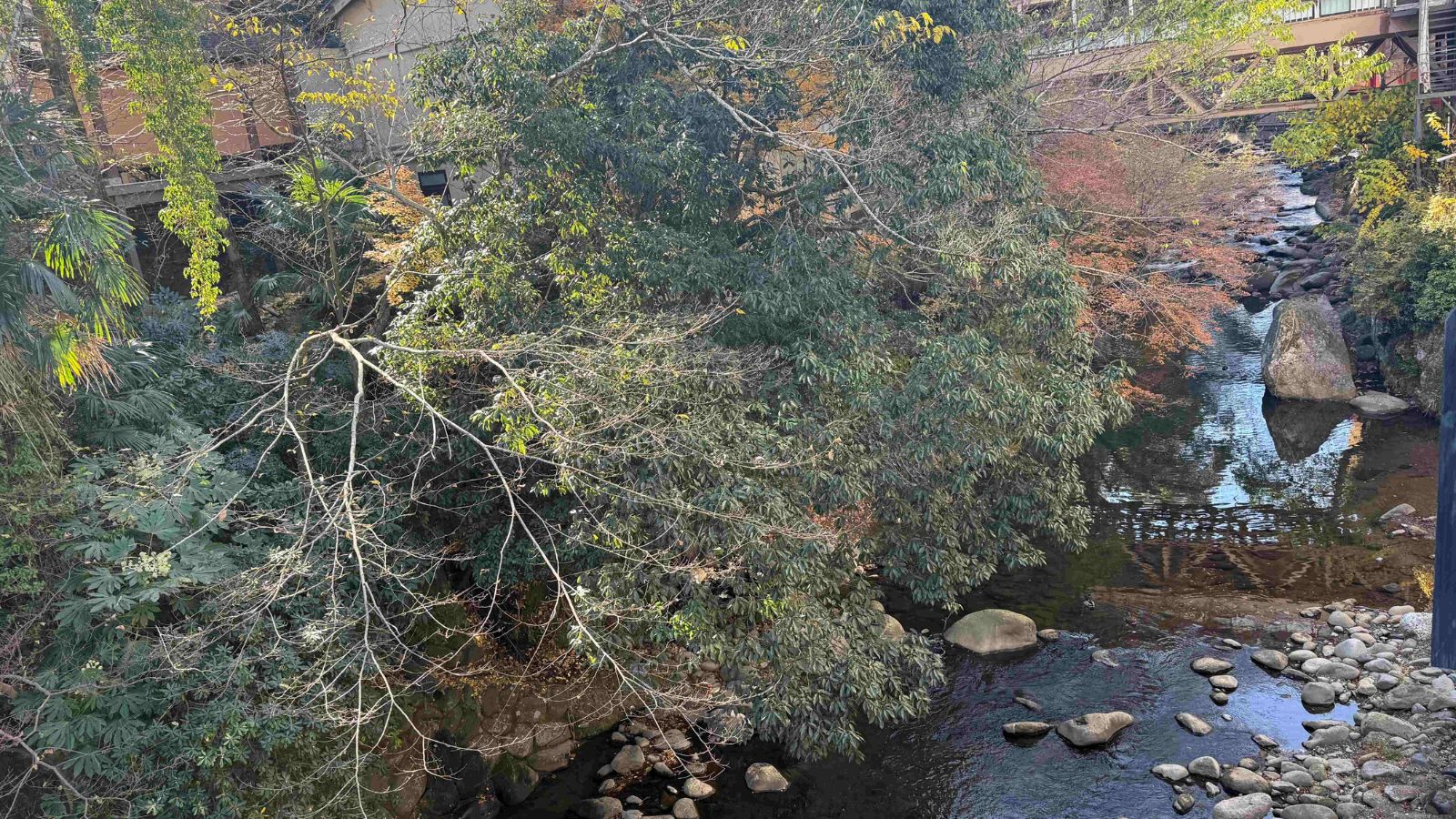 お部屋から見える修善寺川