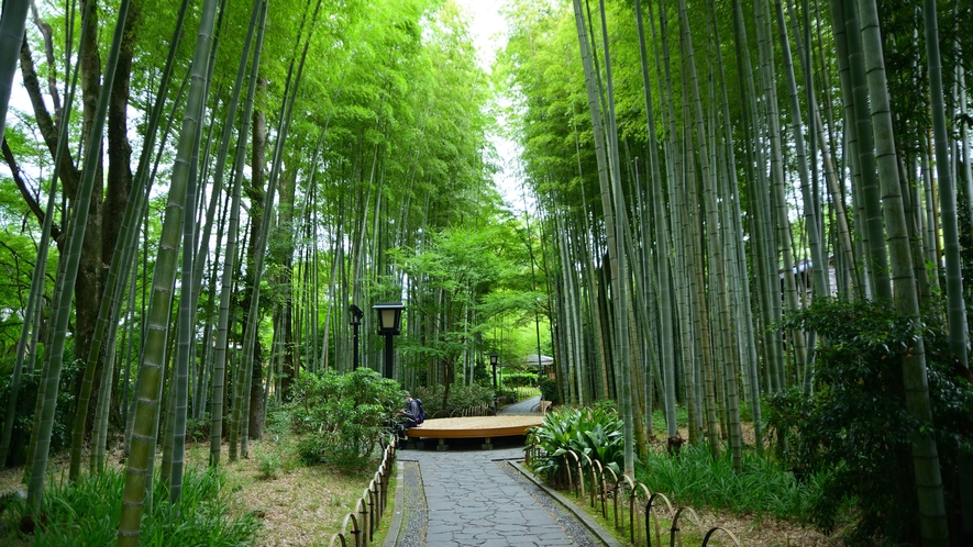 修善寺 竹林の小径　当館から徒歩7分