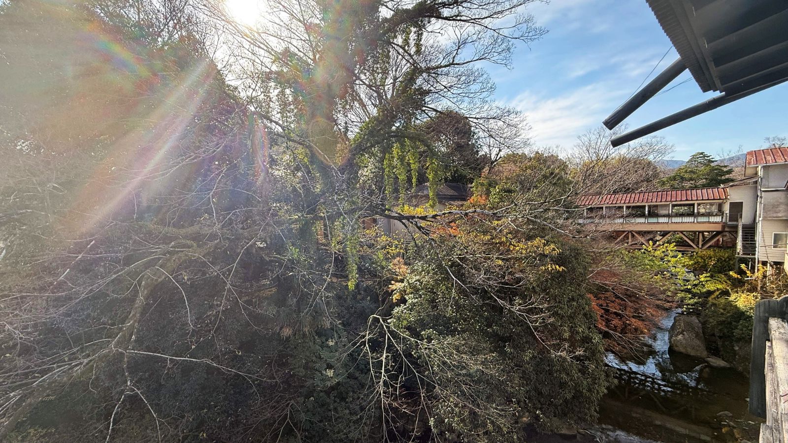 お部屋から見える修善寺川