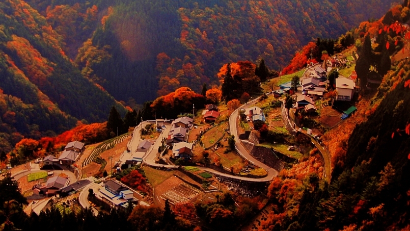 【ツーリング】バイクで遠山郷を旅しよう！南信州の食と景色を楽しむ1泊2食付プラン♪
