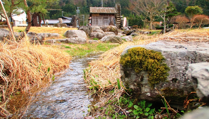 【庭】当館周辺の景色