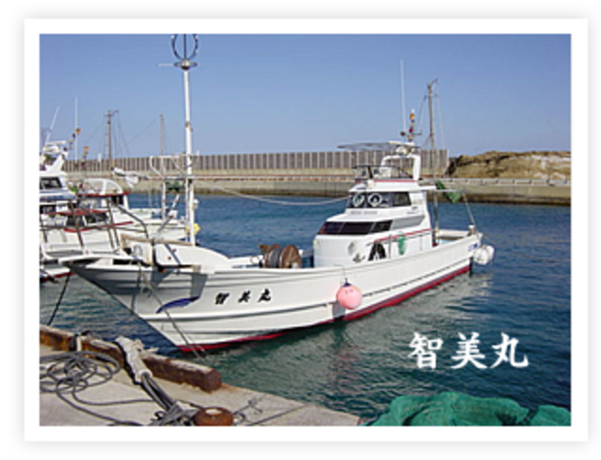 民宿しまさき 種子島 宿泊予約 楽天トラベル 民宿しまさき 種子島 宿泊予約 楽天トラベル