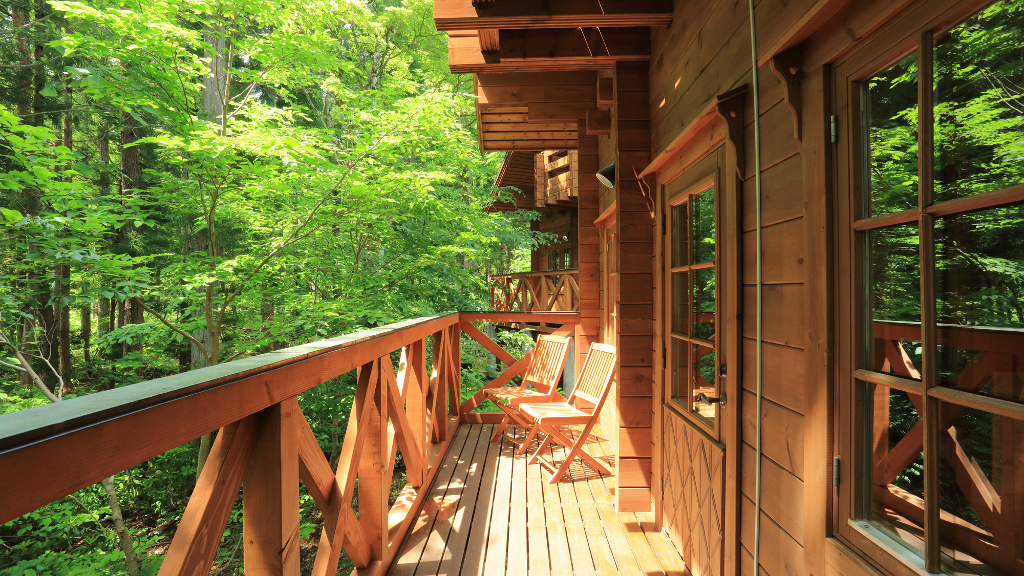 テラスからの新緑