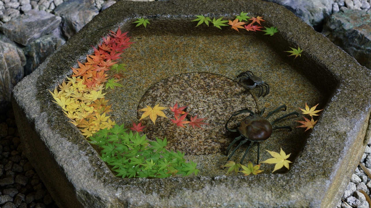 【一条恵観山荘入園チケット】色鮮やかな紅葉散策と花手水を楽しむ鎌倉時間【かながわ冬の魅力発見】