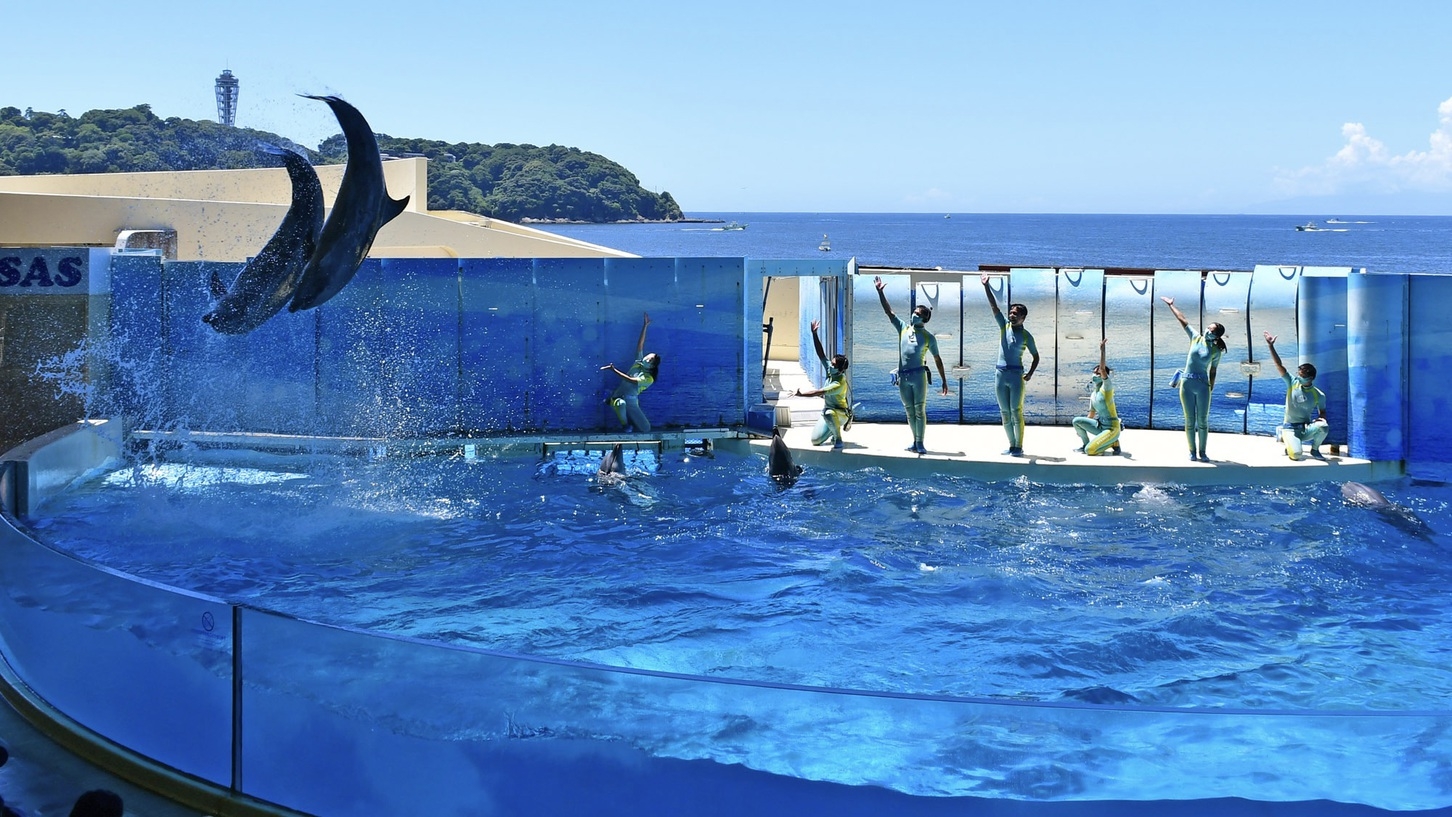 【新江ノ島水族館入館チケット付】幻想的な癒し空間で楽しむ湘南旅【朝食ビュッフェ無料】