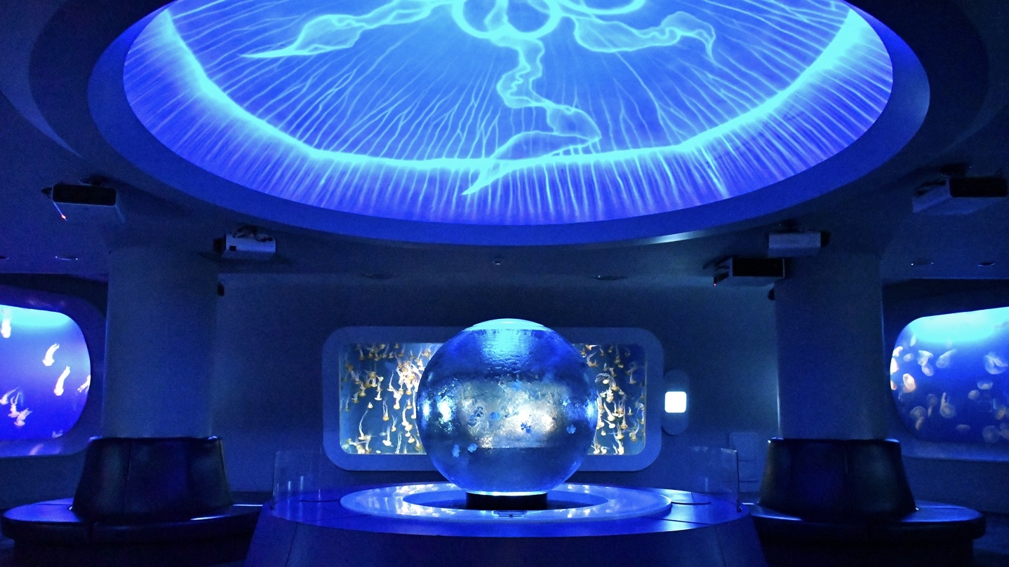 【新江ノ島水族館入館チケット付】幻想的な癒し空間で楽しむ湘南旅【朝食ビュッフェ無料】