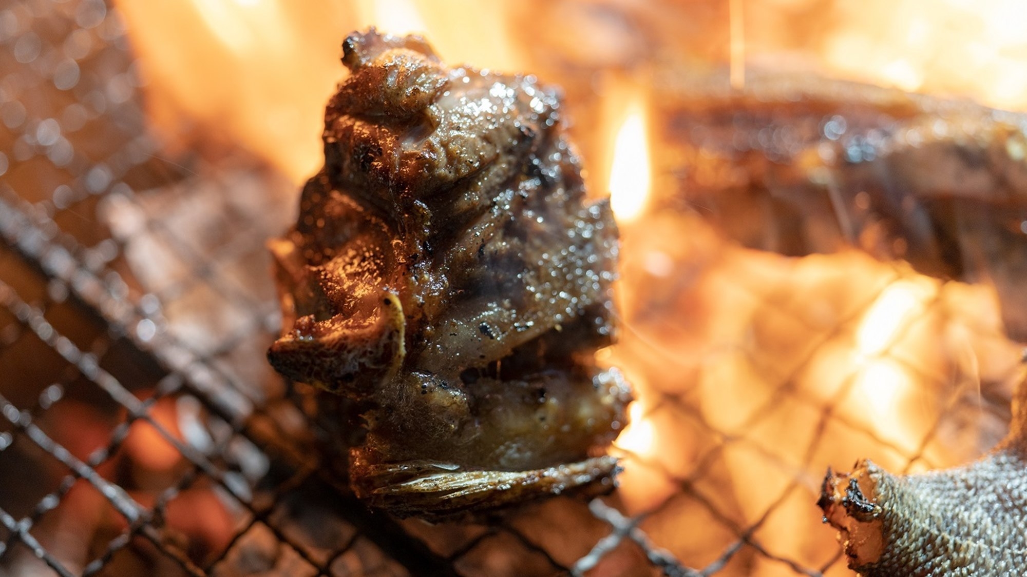 【期間限定】2/13開催★真冬の屋外焼き肉チャレンジ！極寒焼肉プラン＜2食付＞