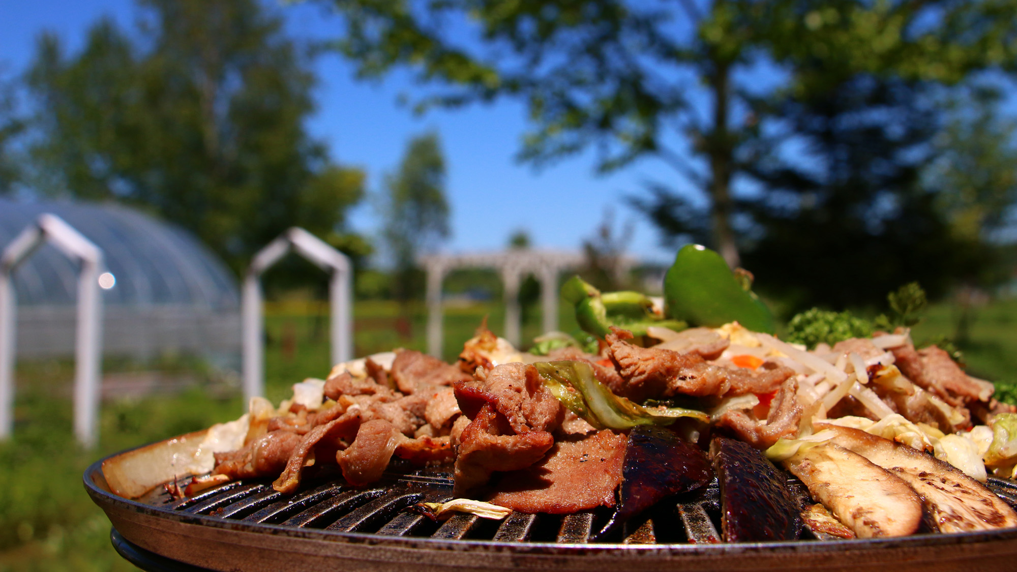 #【BBQ】北海道といえば！ジンギスカン♪