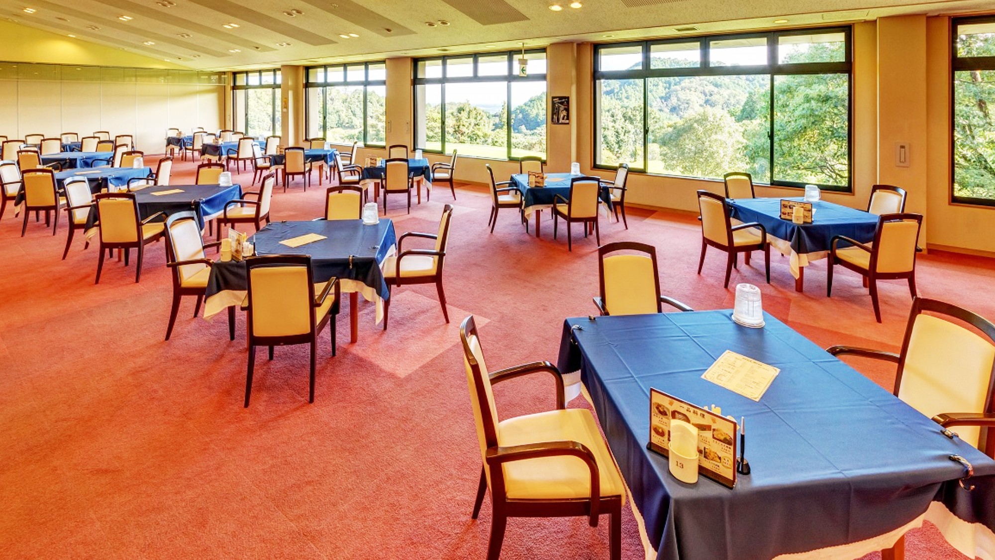 窓から差し込む柔らかな光と緑の彩り。開放的な空間で味わう自慢の食材をどうぞ