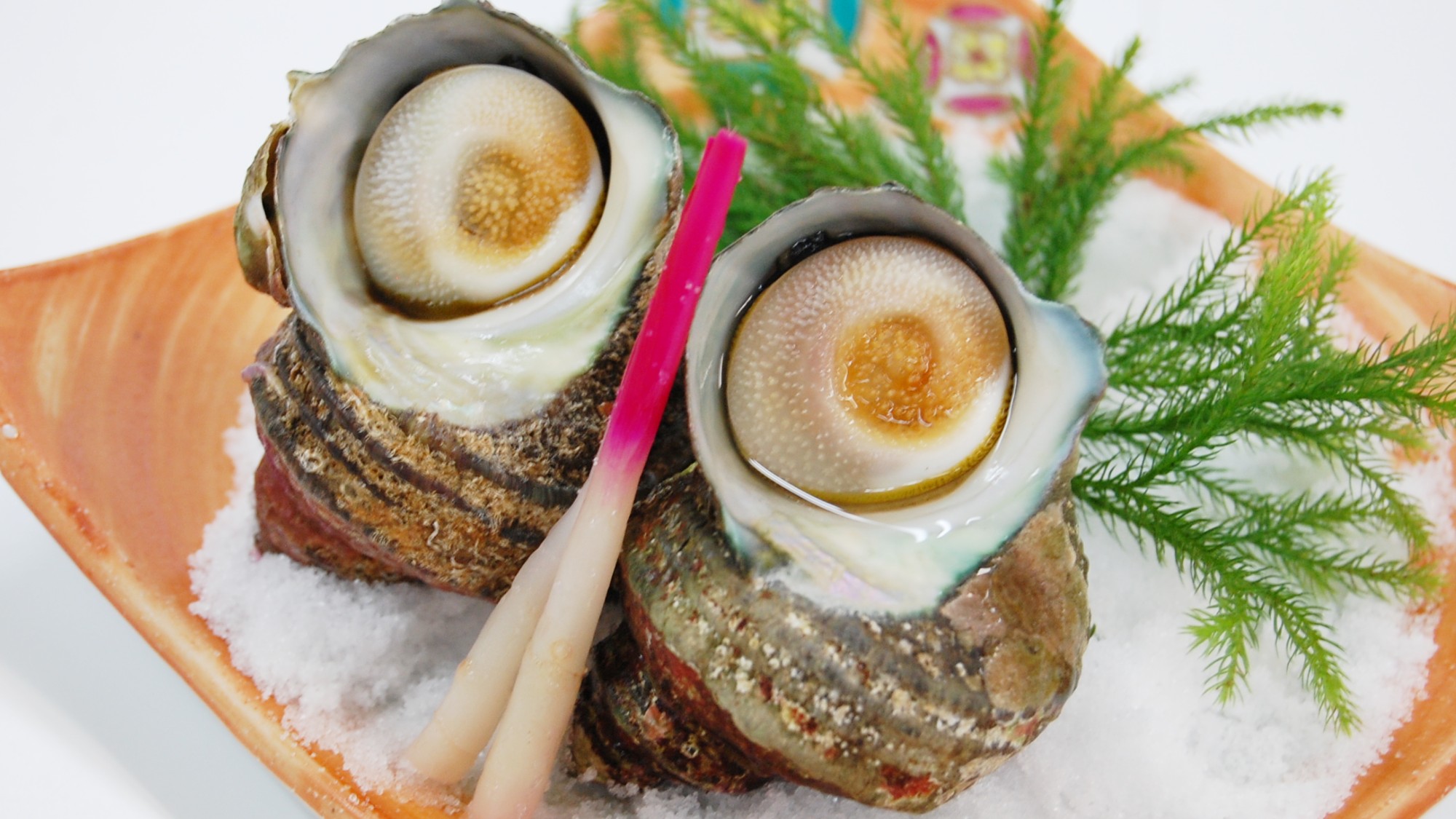 【追加料理】磯の香りが立ち上る、焼きたてのさざえの壺焼き。1人前（2個）＋1,300円（税込）