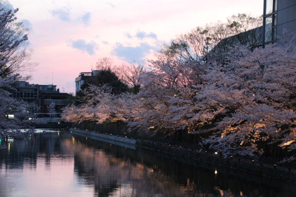写真2