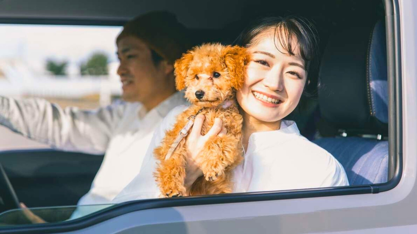 【夏休み限定】≪素泊まりプラン≫ペットと一緒に泊まれる×駐車場なしでお得に♪シンプルステイにおすすめ