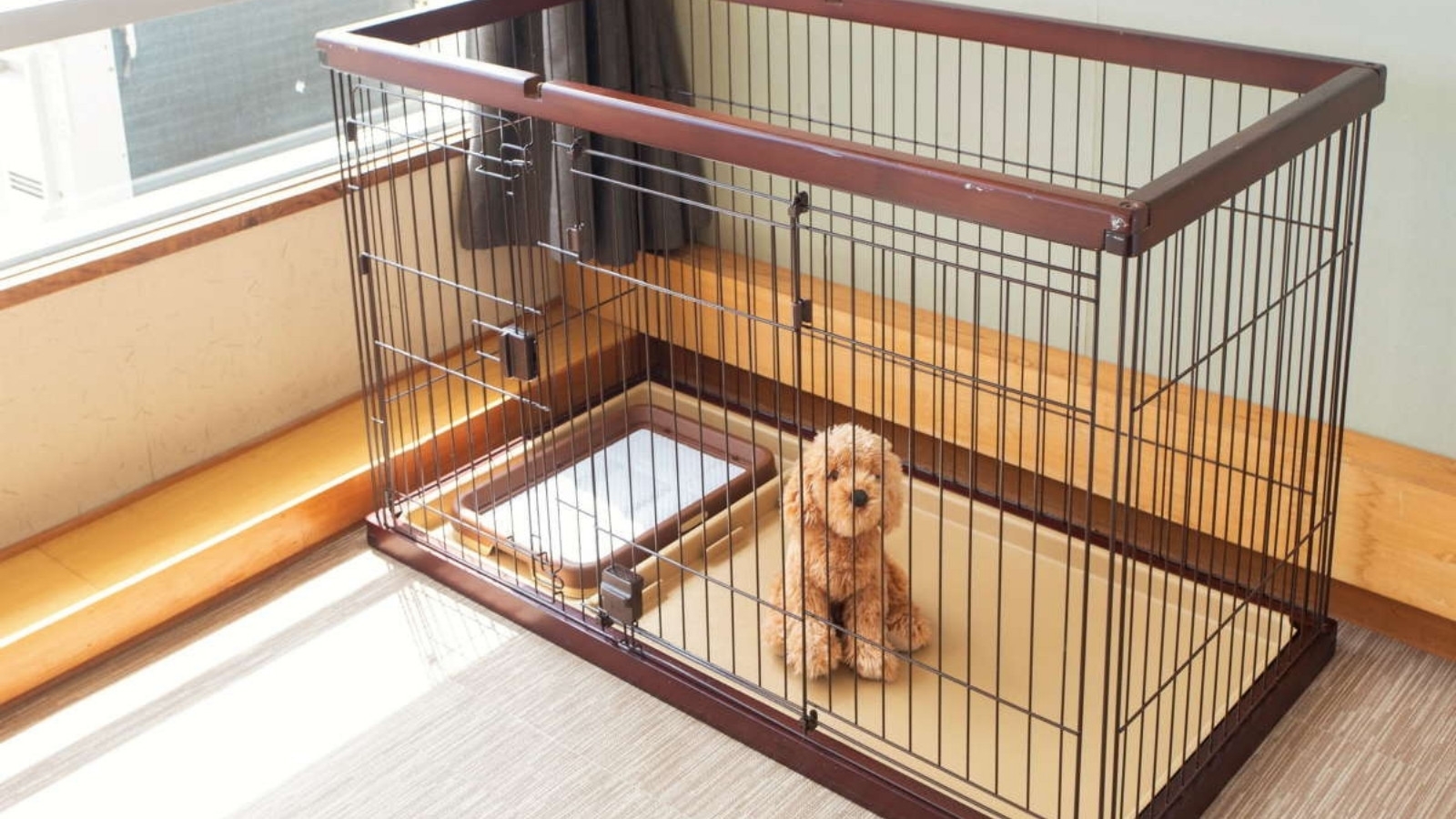 【スーパー早割60｜ペット可】60日前まで1000円引き！季節の美味お得会席 下田の山海の幸に舌鼓