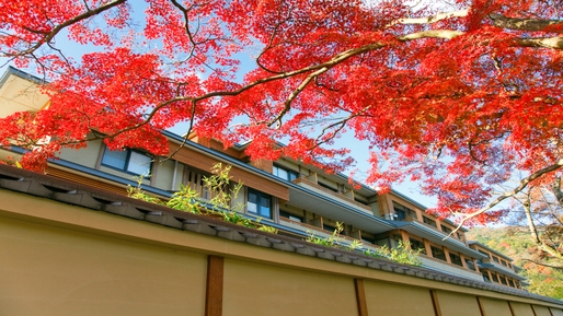 【11月◆朝食付】ご到着が遅い方におすすめ★天然温泉＆貸切風呂＆夜鳴きそば無料！