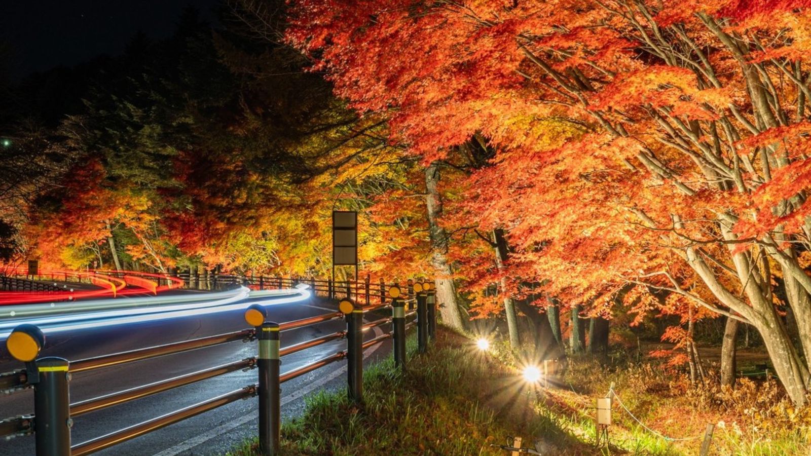 道の駅ライトアップと光の軌跡