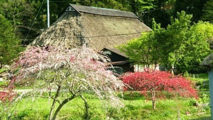 *周辺観光【桃源郷】八峰町にある「桃源郷」の春風景です。