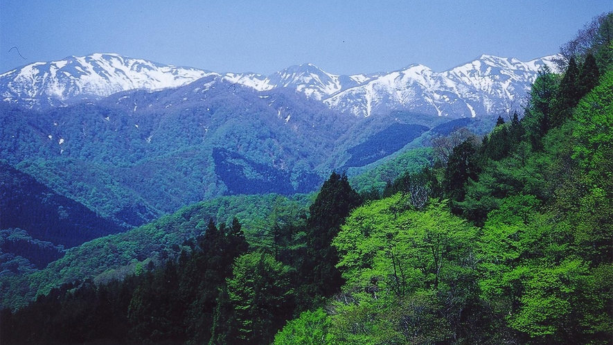 *周辺観光【新緑の白神山地】青森県と秋田県にまたがる、世界最大級のブナ林を誇る世界遺産白神山地。