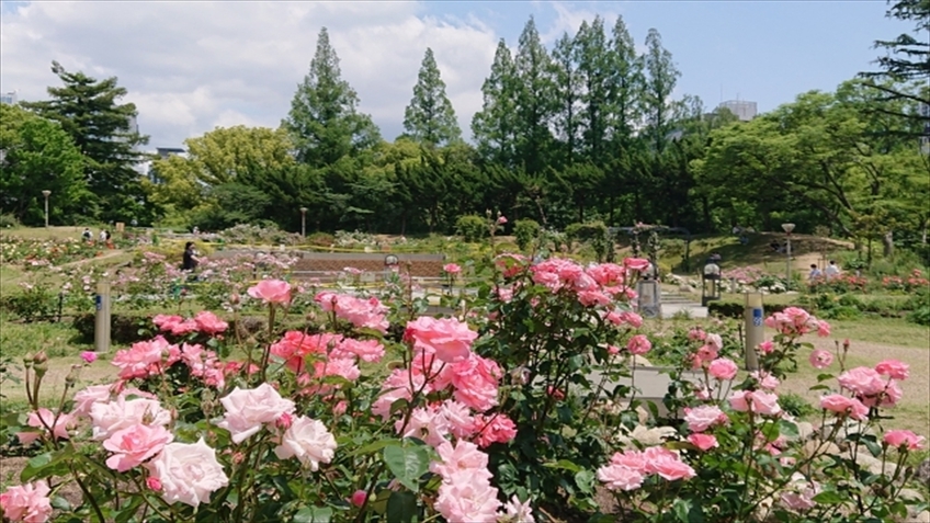 【万博】連泊でお得に宿泊★万博会場まで中央線で乗り換え無し◎食事なし◎