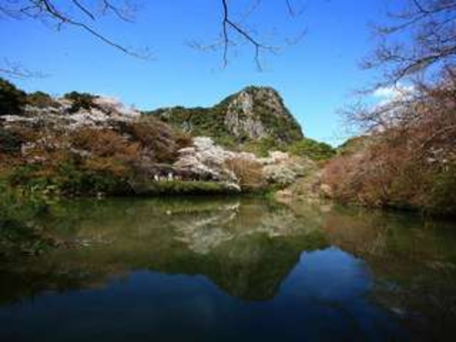 御船山楽園の５０００本の桜　※見頃は３月中旬〜４月上旬