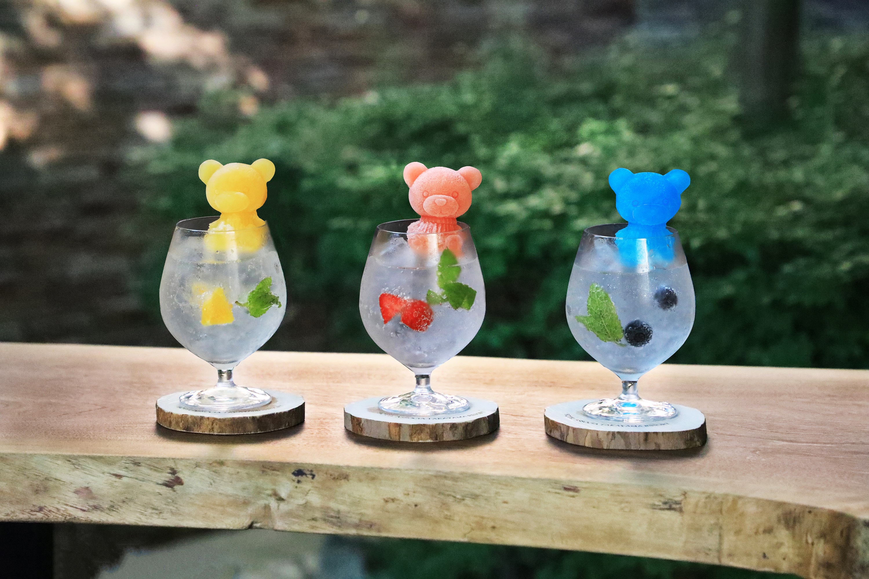 ラウンジシーナリー　森にくまさん　飛騨高山サイダー