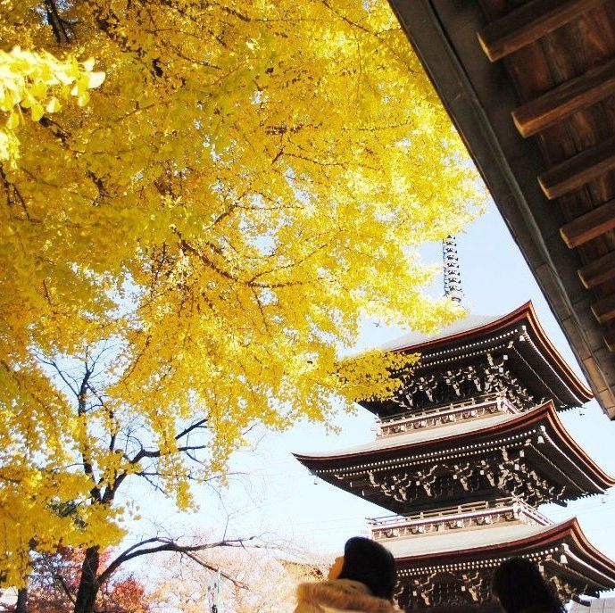 飛騨高山温泉 ルートイングランティア飛騨高山 和蔵の宿 - 写真 120