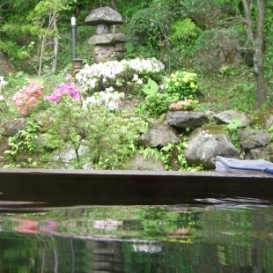 Courtyard Hot Springs