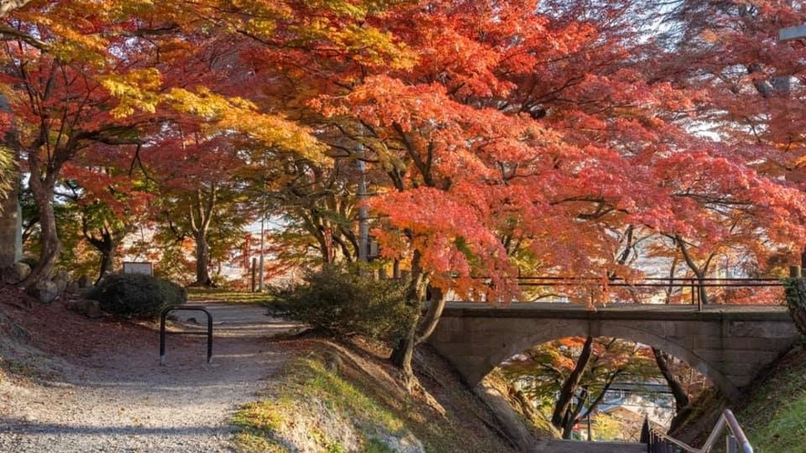 秋の烏帽子山公園