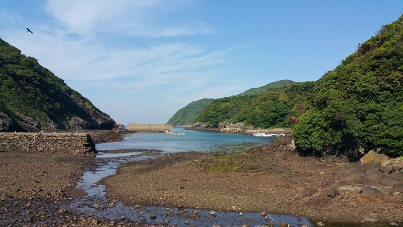 「期間限定」志々伎漁港直送！「天然ひらめ尽くし」プラン(*’▽’)