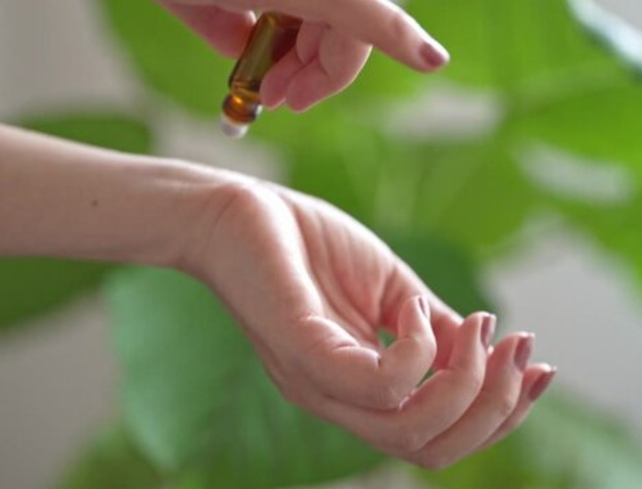 お料理少なめ【小食さんプラン】シニアの方・小食さんにおススメ