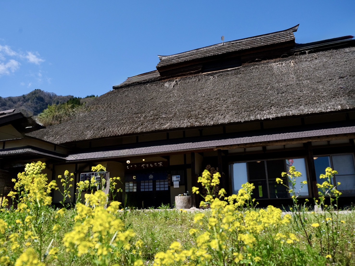 春のやきもち家