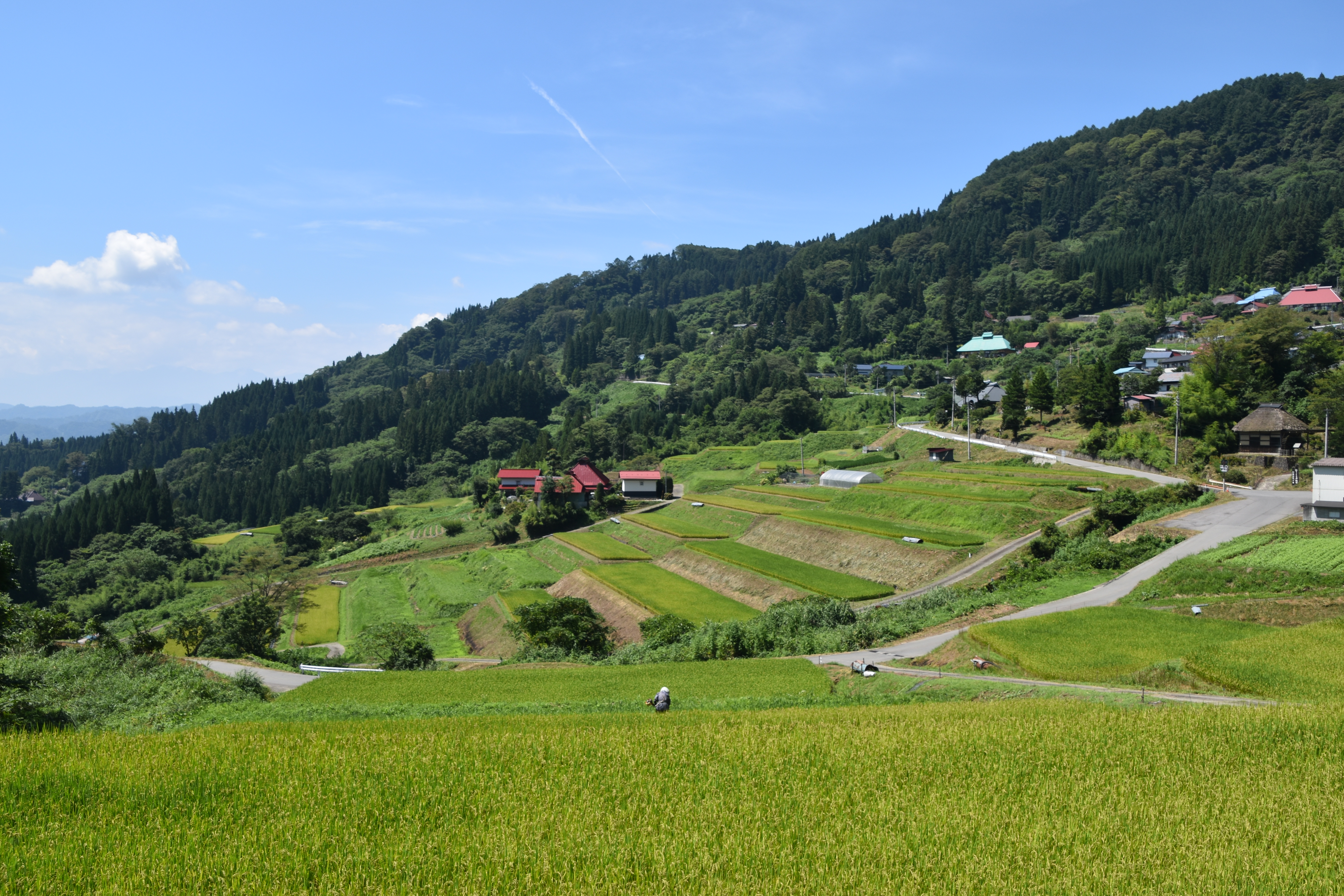 【栃倉の棚田】日本の棚田100選に選出