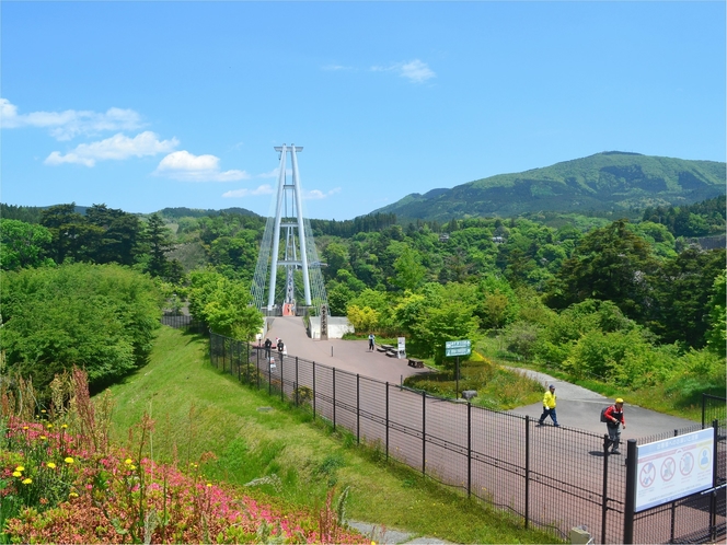 九重夢吊大橋