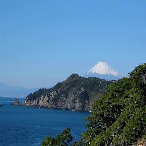 【鯛うす造りプラン】自噴☆源泉流しっぱなし「若返りの湯でお肌スベスベ」結晶天然温泉風呂プラン【秋得】
