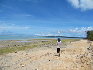 早朝の海をお散歩