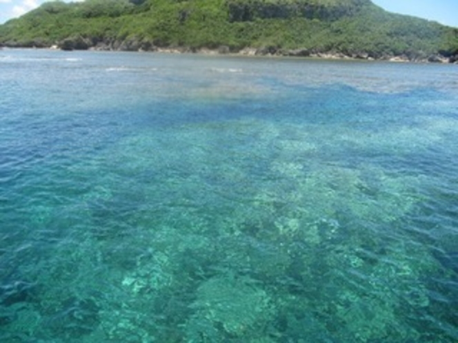 大神島の海