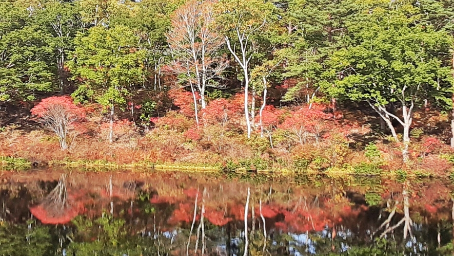 *渋温泉の四季（秋）／志賀高原の玄関口、一沼の紅葉