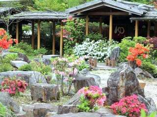 ツツジの香りでいっぱいの大庭園