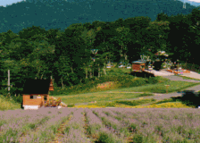 玉原高原 ペンション ホワイトルージュ 格安予約 宿泊プラン料金比較 トラベルコ 玉原高原 ペンション ホワイトルージュ 格安予約 宿泊プラン料金比較 トラベルコ