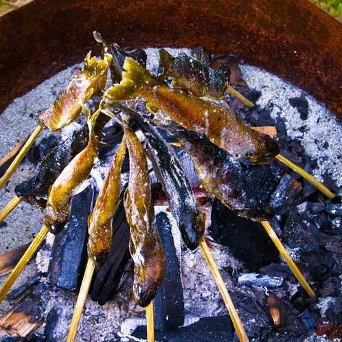 岩魚塩焼き