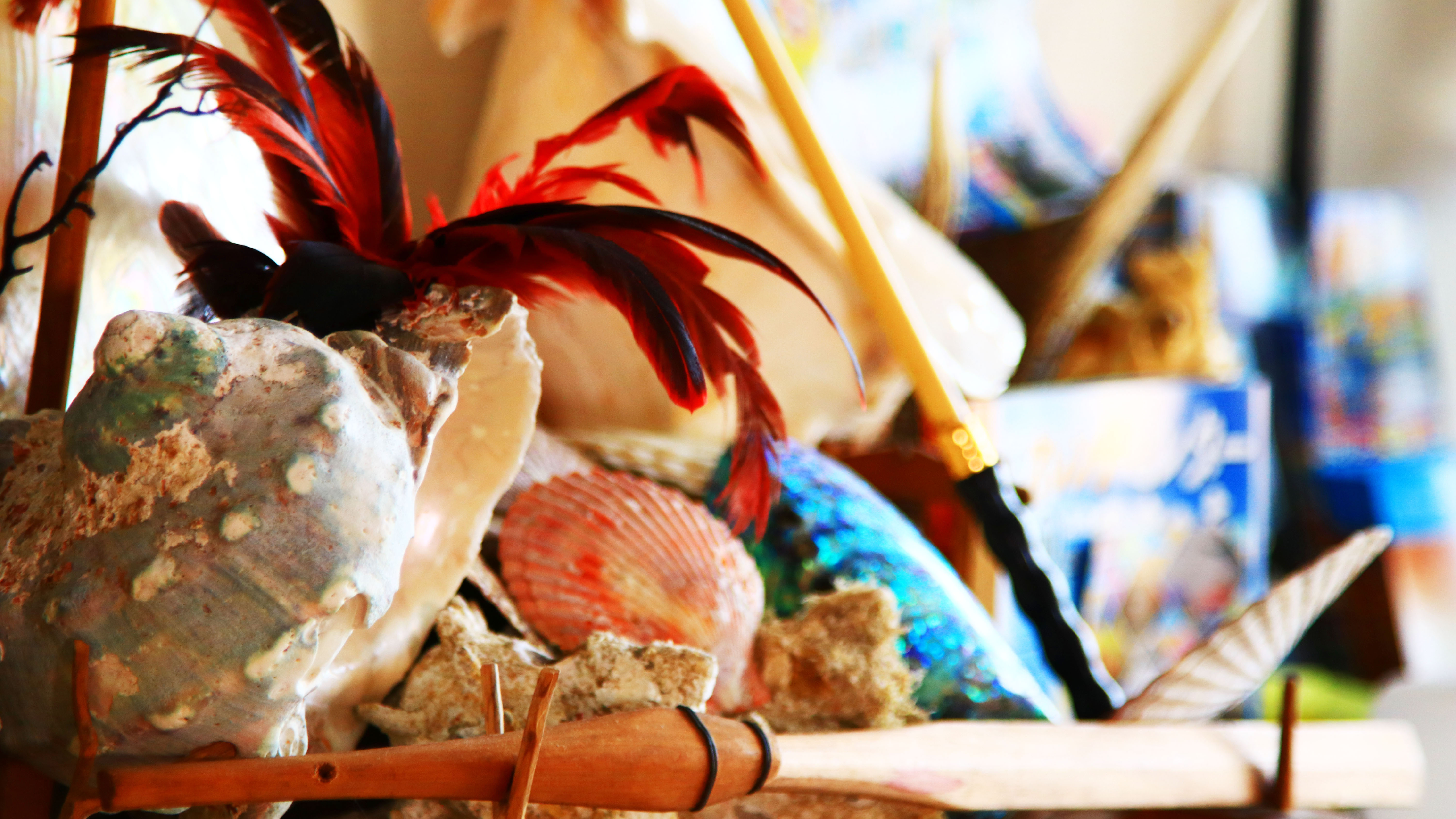 館内▲目の前に広がる海