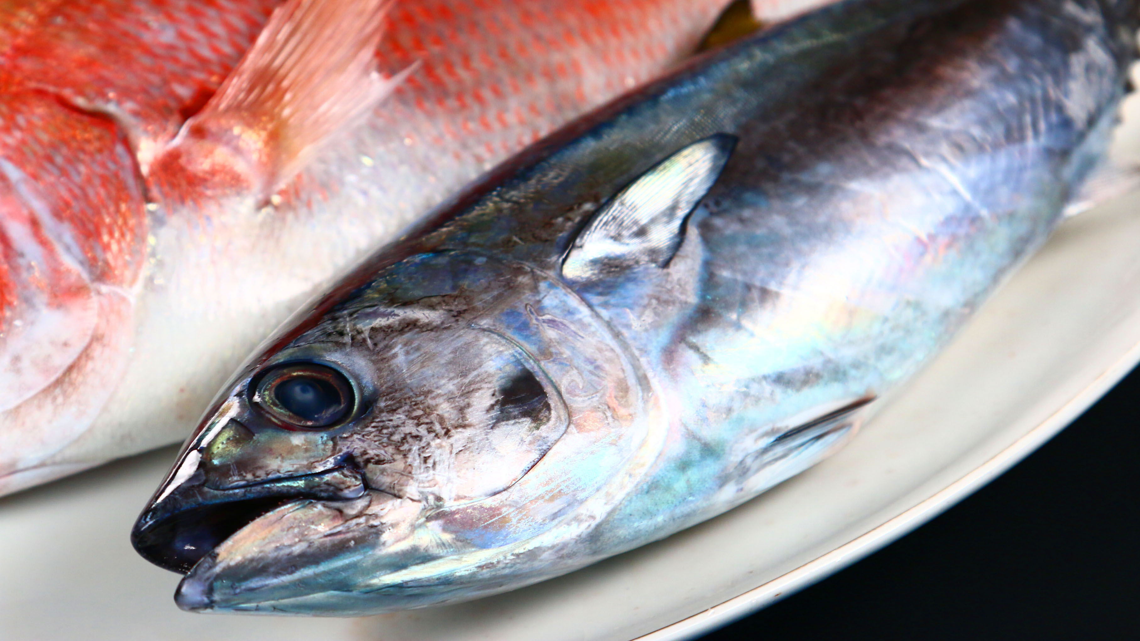 お料理◆新鮮なメジマグロ